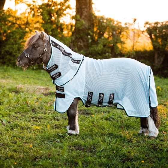 Amigo Petite Bug Rug