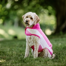 Witney Pink