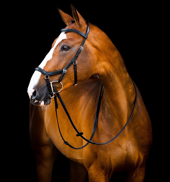 Horseware Rambo Micklem 2 Deluxe Konkursowa Trzensuga