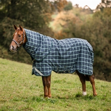 Hunter Check/Green Navy