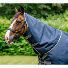 Black/Titanium Grey & Silver