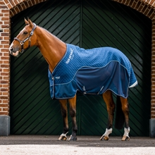 Horseware Signature Derki dla konia transportowe