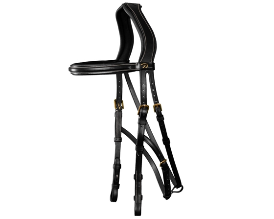 Dyon ogłowie Hackamore US Collection