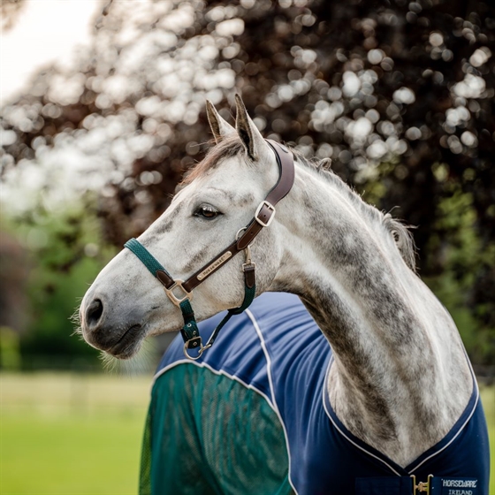 Horseware Signature Braided kantar