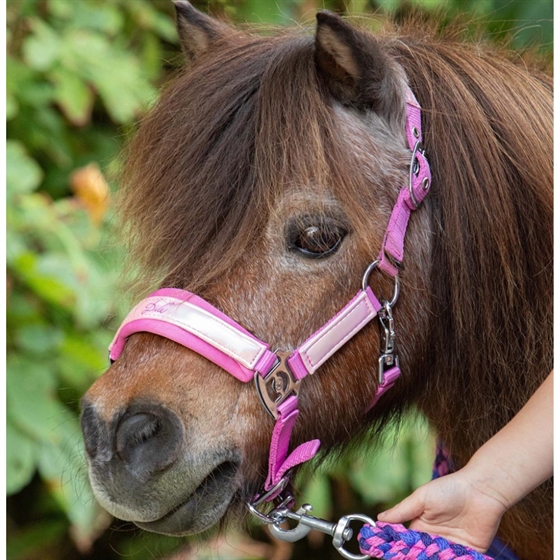 Harry\'s Horse zestaw kantarów Diva Violet