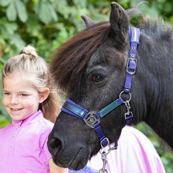 Harry\'s Horse zestaw kantarów Diva Violet