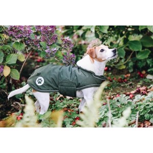 Kentucky derka dla psa wodoodporna Olive green