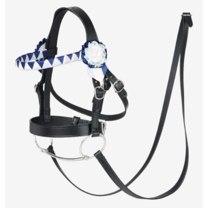 LeMieux Hobby Horse pokazowe og?owie