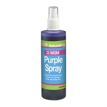 NAF NaturalintX Purple Aloe Vera Spray