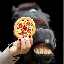 Candy Horse Limited Edition Pizza
