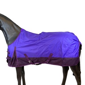 Purple/Plum