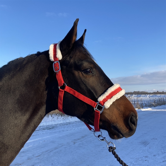 AB Kantar Griffin