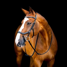 Horseware Rambo Micklem 2 Diamant Competition 
