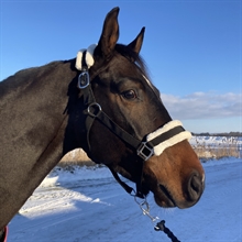 AB Kantar Griffin