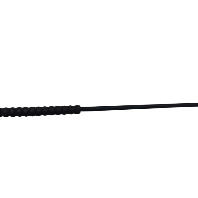 Fleck bat do dressage