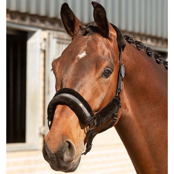 Harry\'s Horse zestaw kantarów Denici Cavalli Stardust