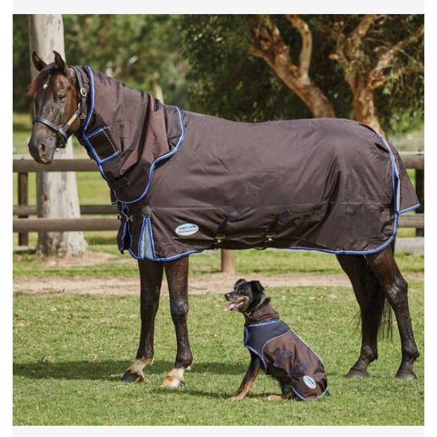 Weatherbeeta derka przejściowa 100 gram Comfitec Ultra Cozi II Detach-a-neck medium/lite