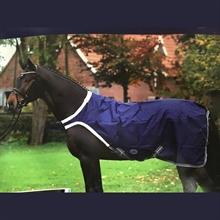 Walker derki dla konia 